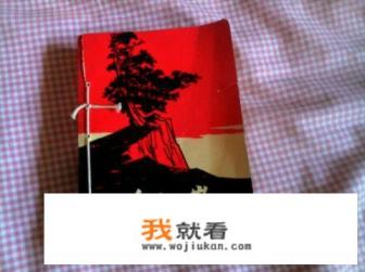 红岩小说原著内容概括？