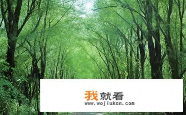 上海辰山植物园军人要不要门票？申城辰山植物园军人免票政策有哪些条件？