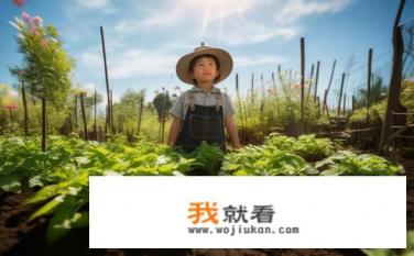 护苗心得感悟句子？如何有效保护幼苗的成长与成长感悟？