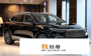 探岳2024款330豪华版落地价？探岳2024款330豪华版售价是多少?
