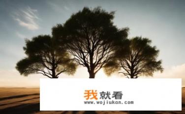 什么是铁三角？铁三角构图是什么？