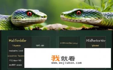 曼巴眼镜蛇好还是炼狱蝰蛇好？曼巴眼镜蛇与炼狱蝰蛇哪个更好？，一项性能对比分析