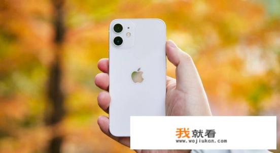 iphone和iphone mini差别？