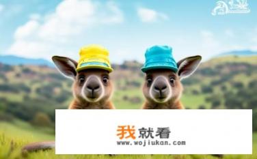 阿里袋鼠和大洋洲袋鼠是一个牌子吗？阿里袋鼠和大洋洲袋鼠是否是同一品牌?
