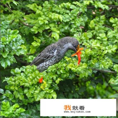 都快2020年了，尼康D90还好用吗，有没有很过时？