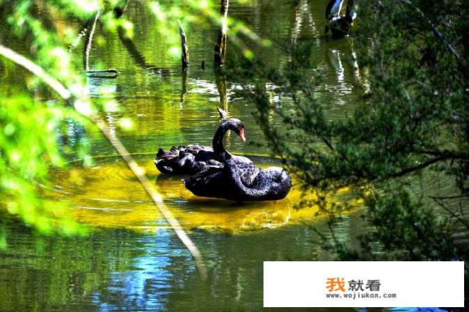都快2020年了，尼康D90还好用吗，有没有很过时？