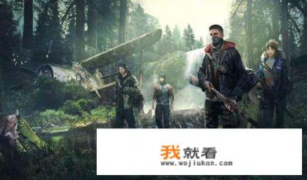 一般一个正常的网游游戏寿命是多少年？