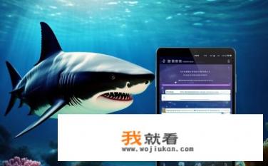 黑鲨imei查询官网？黑鲨IMEI查询网址在哪？详细步骤详解