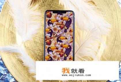 各代苹果手机屏幕 哪个最好？
