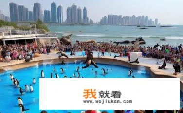 青岛极地海洋世界的表演时间？青岛极地海洋世界表演时间是什么时候？