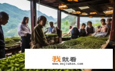武夷山买茶攻略？如何在武夷山选购性价比高的茶叶？