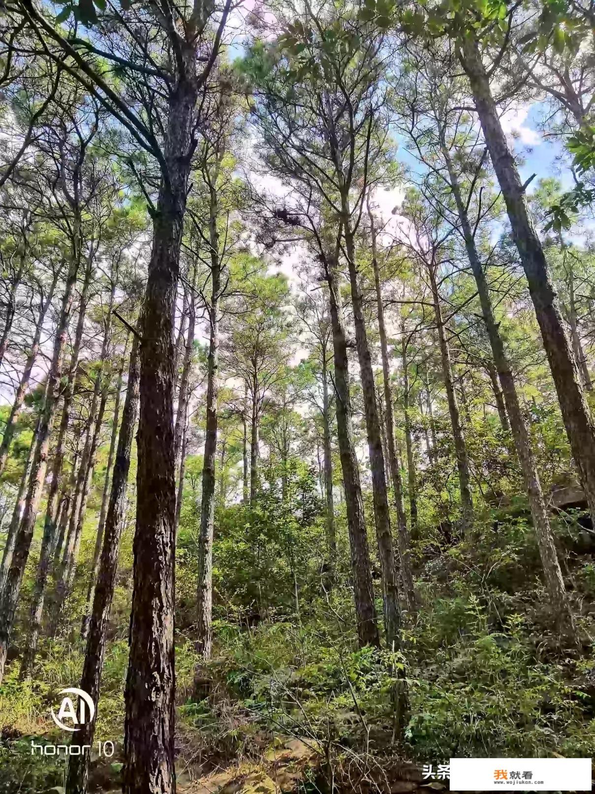 连云港连岛除了海边还有什么值得玩的？