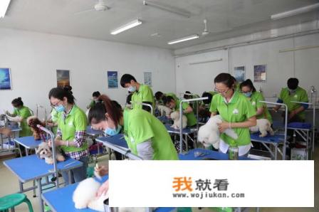 宠物美容学校学费一般是多少？