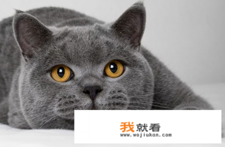 吸引妹子的游戏名字？