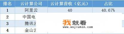 国产cpu出货量排行？