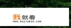 类似逆水寒的仙侠游戏？