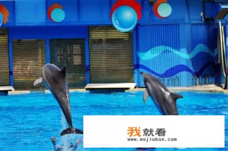 香港七日游，如何规划行程？
