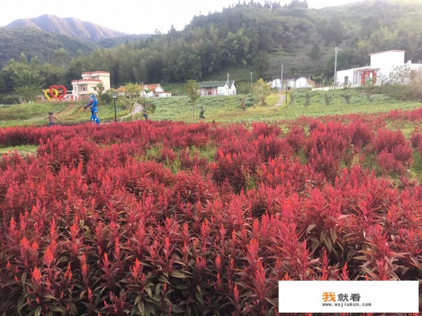 三亚七星级酒店投资商是谁？