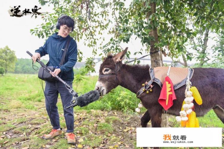 为什么拼多多游戏打不开？