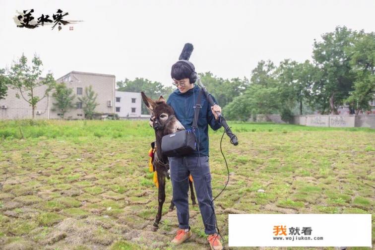为什么拼多多游戏打不开？