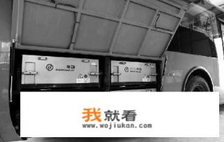 长城汽车发布的打车平ORA欧拉能否取代滴滴？你怎么看？