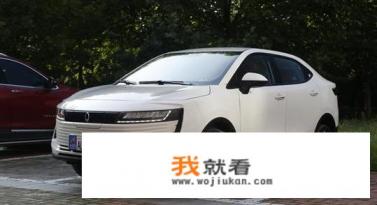 长城汽车发布的打车平ORA欧拉能否取代滴滴？你怎么看？