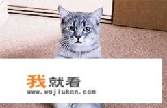 滴滴代驾承诺书是什么？