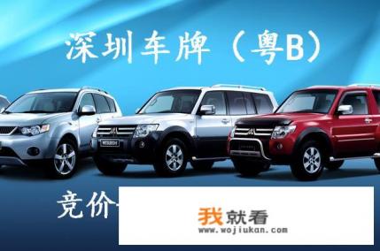 深圳车牌摇号个人申请条件及流程？