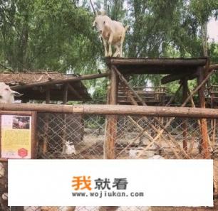 昌平水库鱼哪家最好吃？