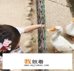 昌平水库鱼哪家最好吃？