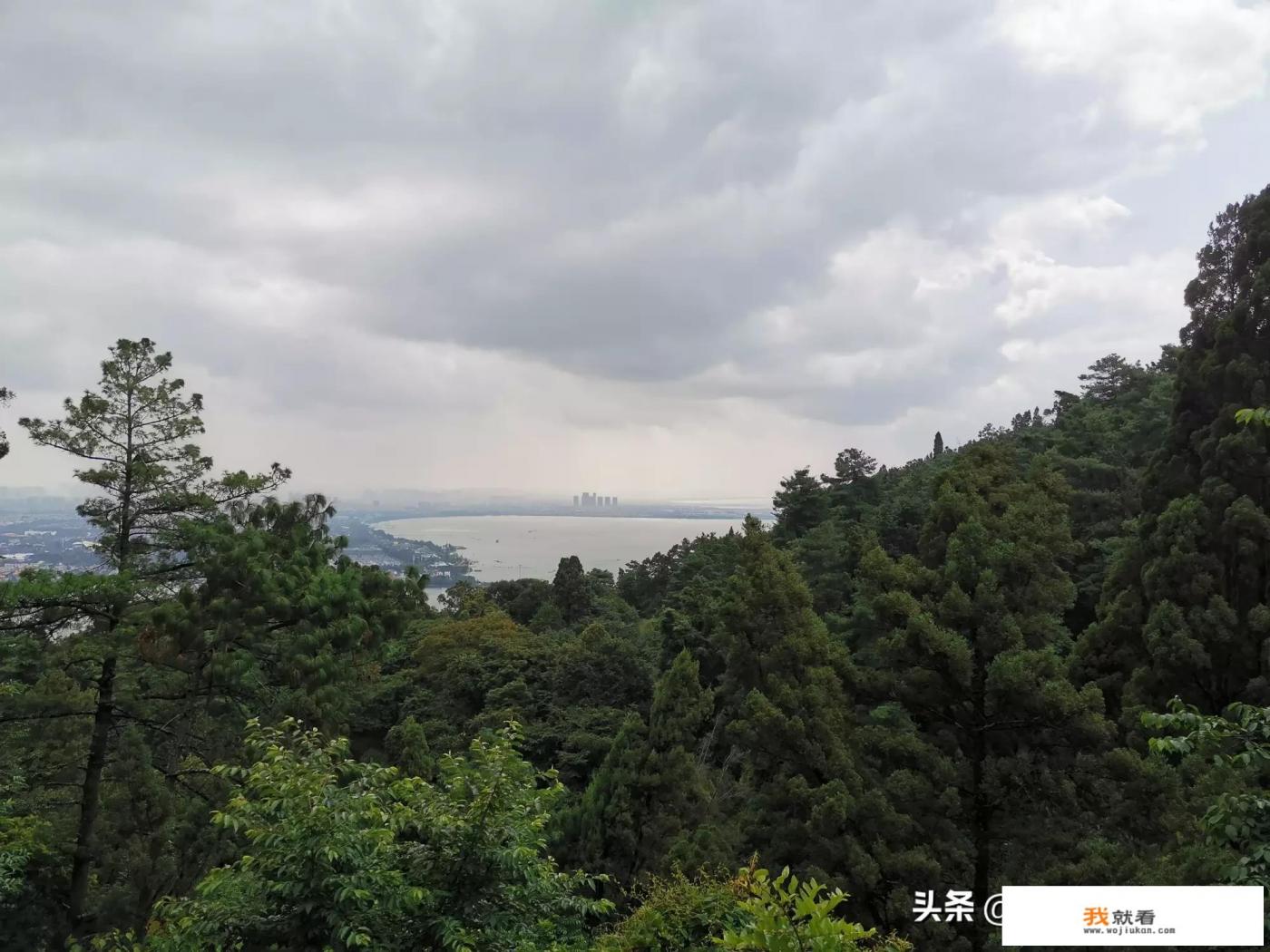 格林公主童鞋是品牌吗？