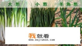济南哪里川菜比较好吃？