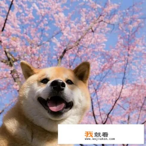广州火车站，怎么去广州复大肿瘤医院？