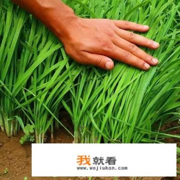 油价开始下跌，92号汽油的“6元时代”，还能回来吗？