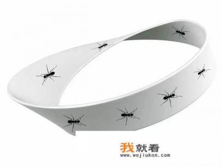 我们的世界是三维空间还是四维空间？