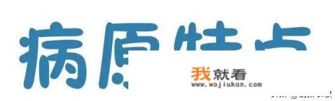 什么是饲料添加剂？其作用如何？