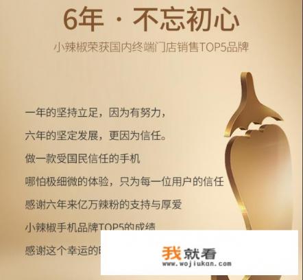 拼多多上买的小辣椒20手机怎么样？