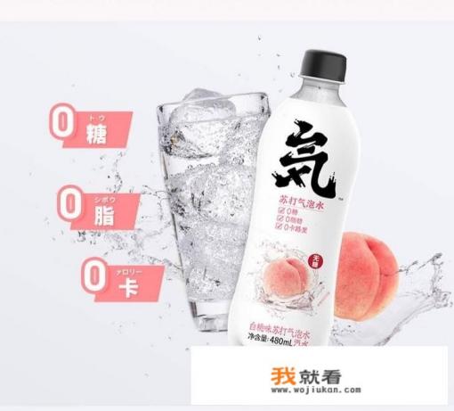 元气森林还有哪些功能饮料？