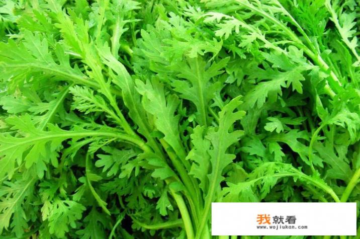 海琦王火锅蘸料哪个好吃？