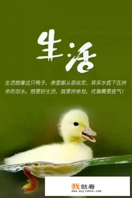 4段奶粉建议喝哪个品牌？