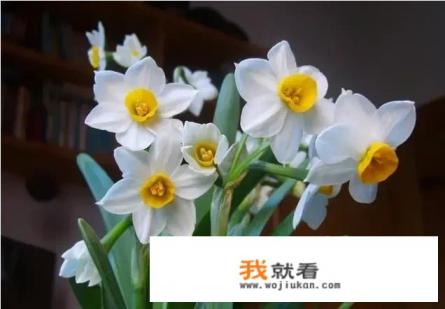 四段奶粉哪个牌子的比较好？
