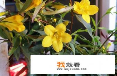 最畅销的法国香水有哪些？