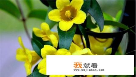最畅销的法国香水有哪些？