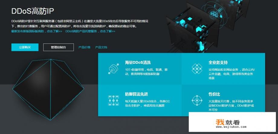 国内的服务器叫什么？