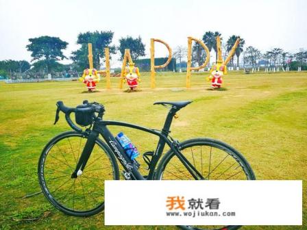 我想买个性价比高的自行车，1万5左右买什么公路自行车好呢？