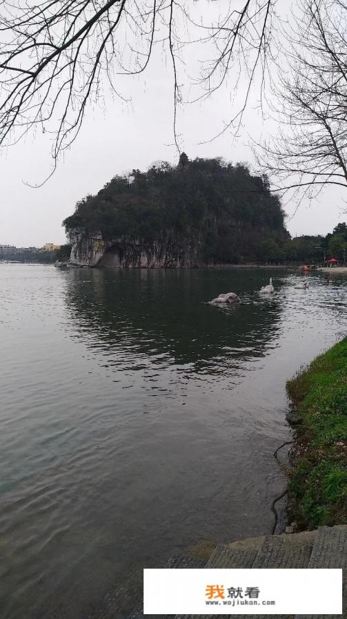桂林山水在什么地方？