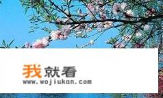 杭州西湖十景有哪些，应该怎么玩？