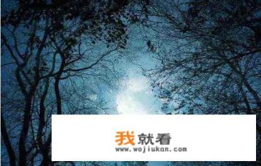 诗词摄影：能否谈下“露从今夜白，月是故乡明。”的拍摄思路？