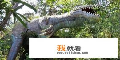 野山谷门票需要提前预约吗？