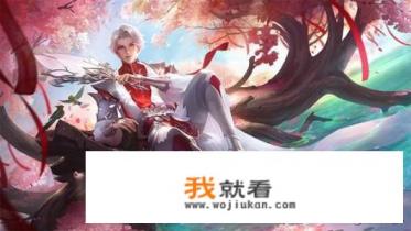 为什么steam上的游戏打折四五十元我都会犹豫，而王者我喜欢的英雄皮肤八十我却不心疼？